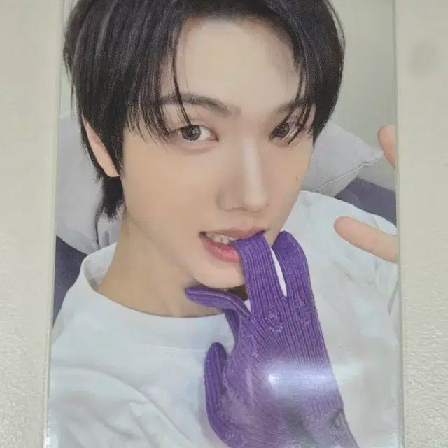 엔시티드림 버티컬플립 지성 양도