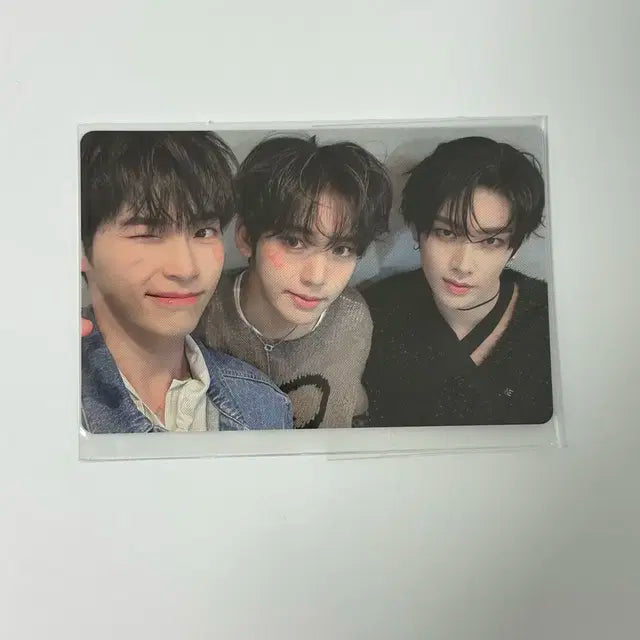 제베원 쇼케 유닛 포카