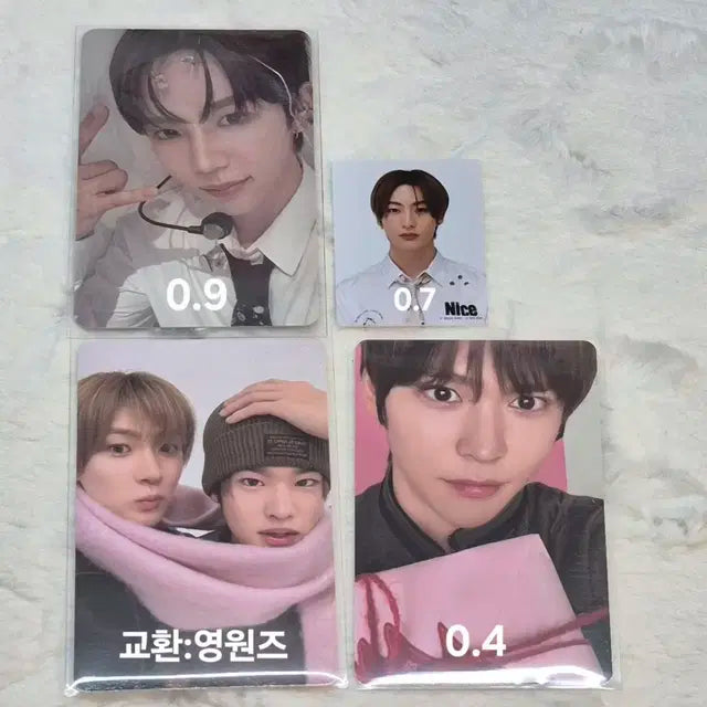 라이즈 일본 홀투어 증사 양도 판매 쇼타로 소희 앤톤
