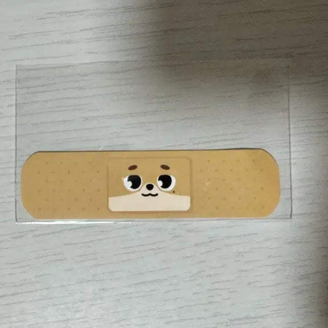 데이식스 데니멀즈 도운 돈 밴드