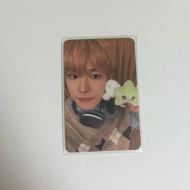 엔시티위시 유우시 위츄 포카 양도