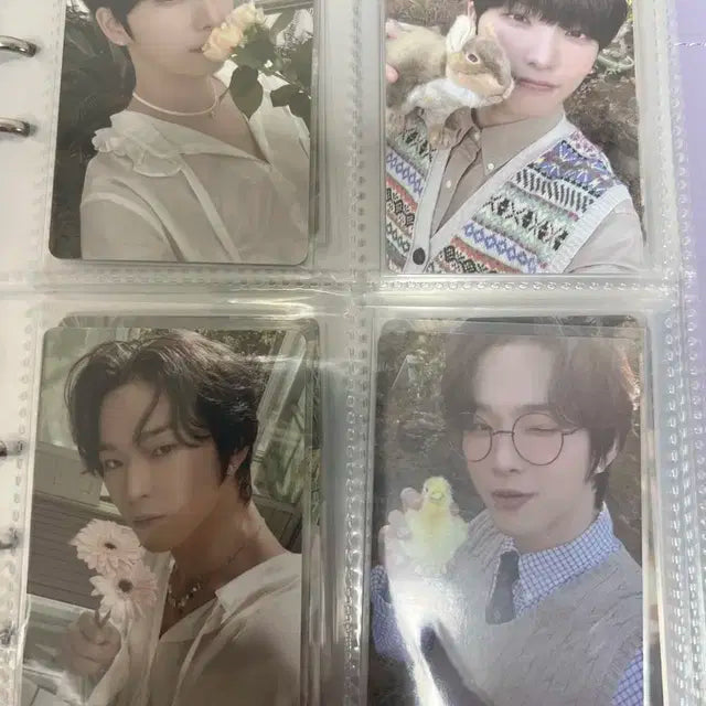 원어스 시즌그린팅,팬클럽,리치포어스 포카 양도