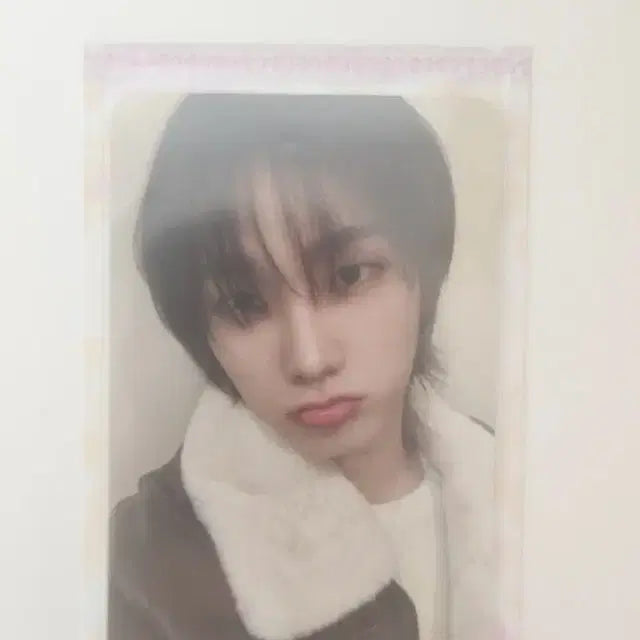 <급처>보넥도 성호포카&개봉 캣삐 키링 팝니다(일괄)+덤
