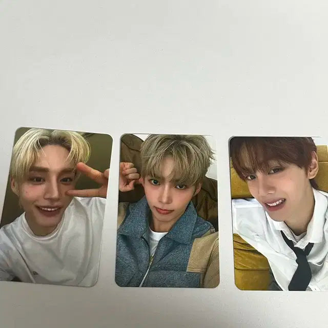 컬러그램 제베원 포카 성한빈 김규빈 김지웅 판매