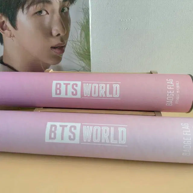 Bts world 패브릭 포스터 팝니다