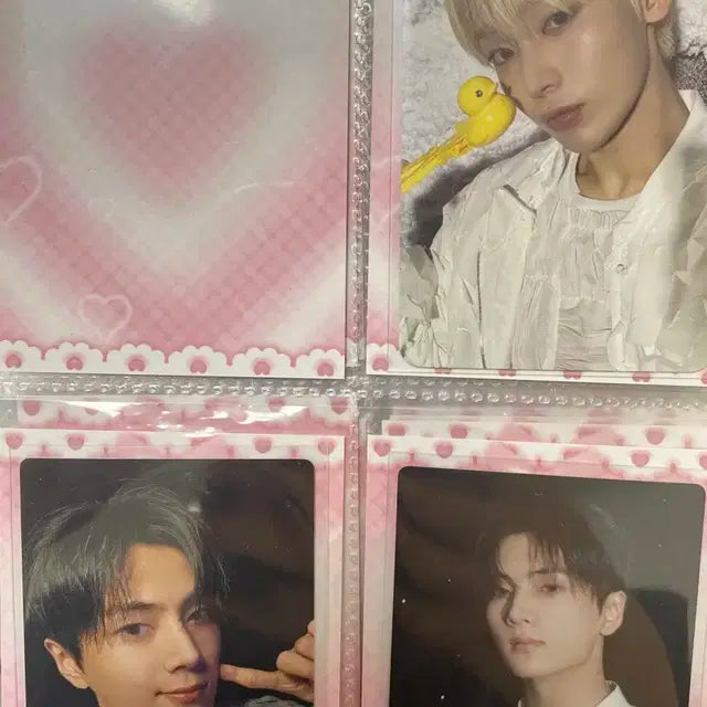 엔하이픈 포카 양도