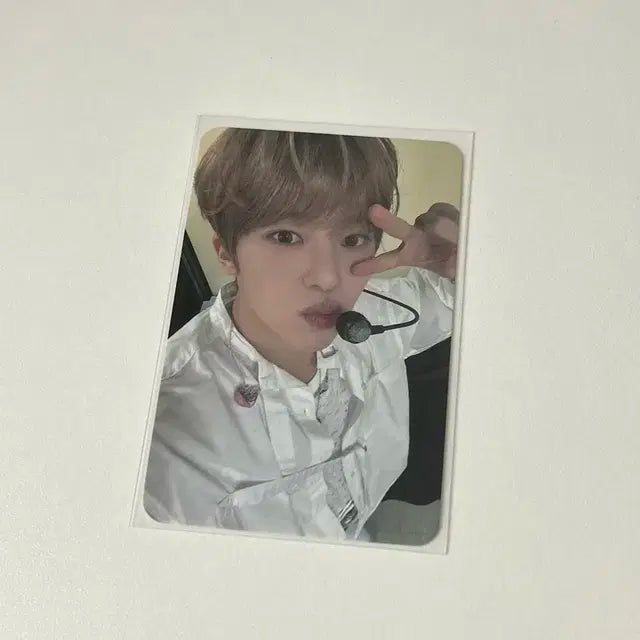 엔시티위시 뮤직코리아 시온 포카 양도