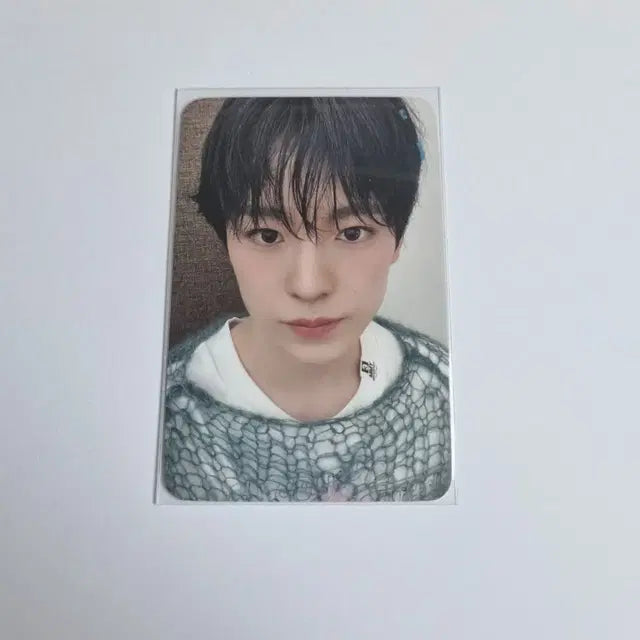 엔시티위시 유우시 스테디 사웨 럭드