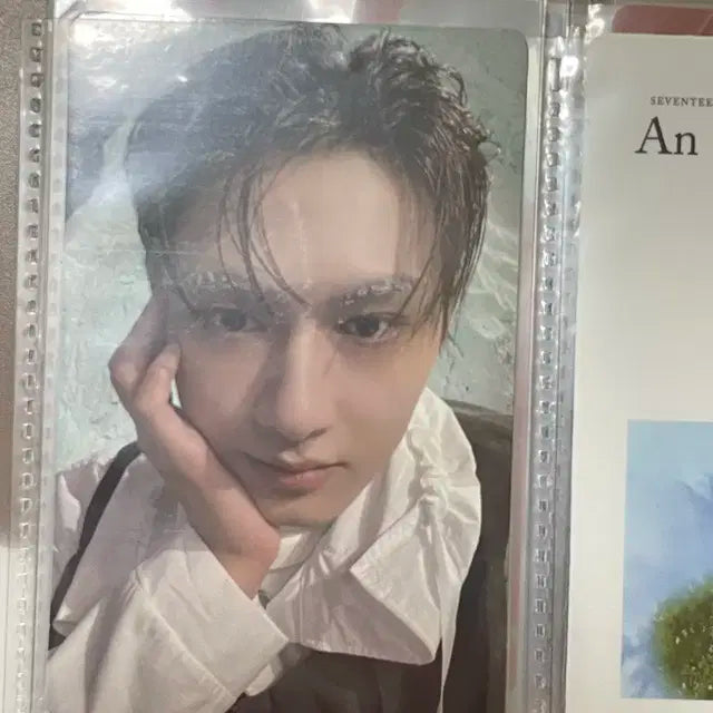세븐틴 포카