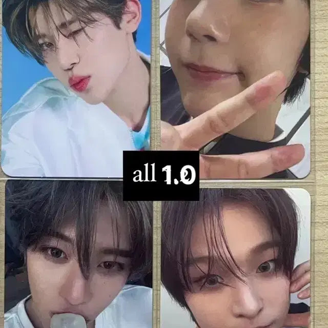 엔시티 위시 포카 양도 시온리쿠유우시료송버드뮤직아트디마뮤팝팝1주년엠디