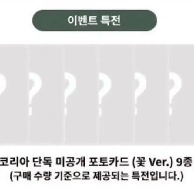 제베원 정규 분철 뮤직코리아 꽃 제로베이스원 NEVER SAY NEVER