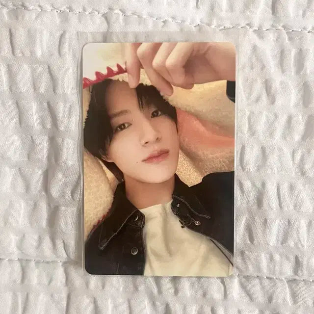 엔시티드림 제노 2023 핑크크리스마스 포카 양도 판매 분철