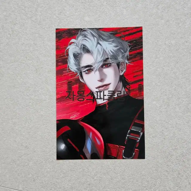 플레이브 프박 장당 양도