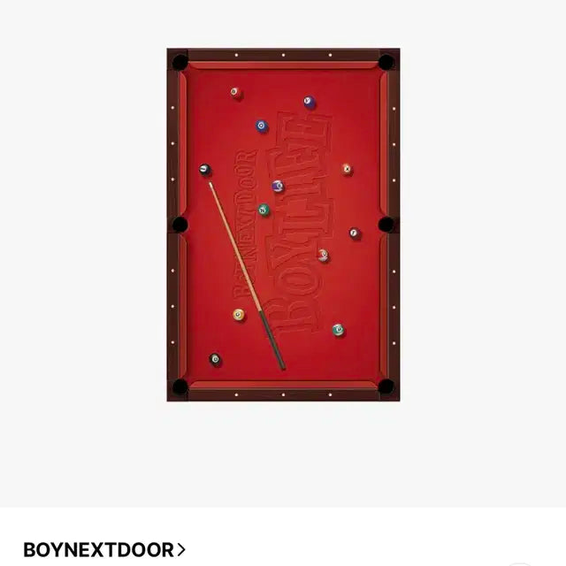 리우) 보넥도 보이라이프 스페셜 에디션 분철