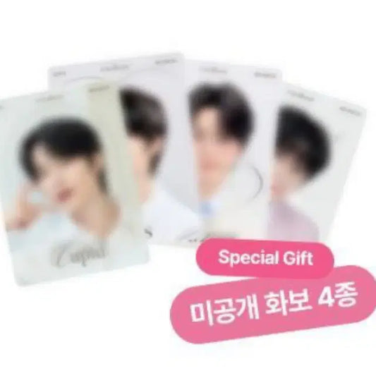 코랄헤이즈 투바투 범규 포카 coralhaze
