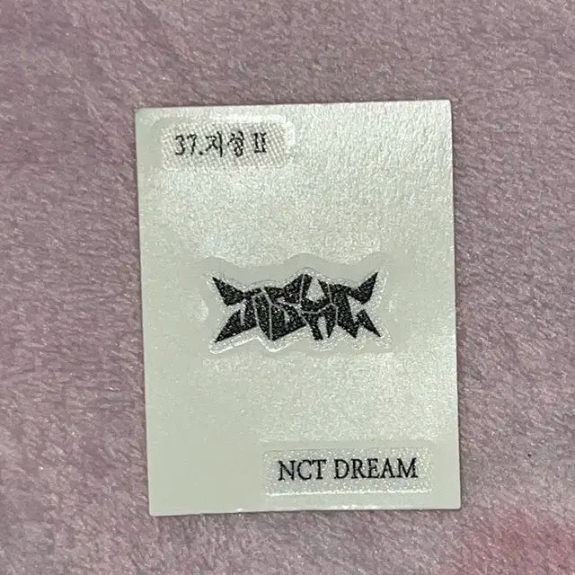 엔시티드림 샌드위치 띠부씰 지성