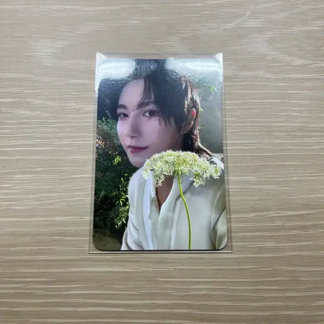 DREAMSCAPE 엔시티 런쥔 위드뮤 럭키드로우 포카 양도