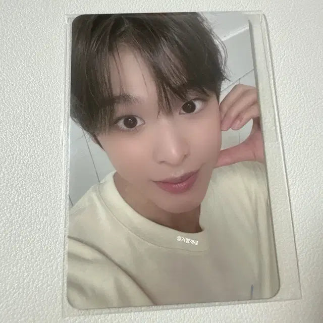 (미개봉)엔시티위시 리쿠 Steady SM Store 스테디 슴스 특전