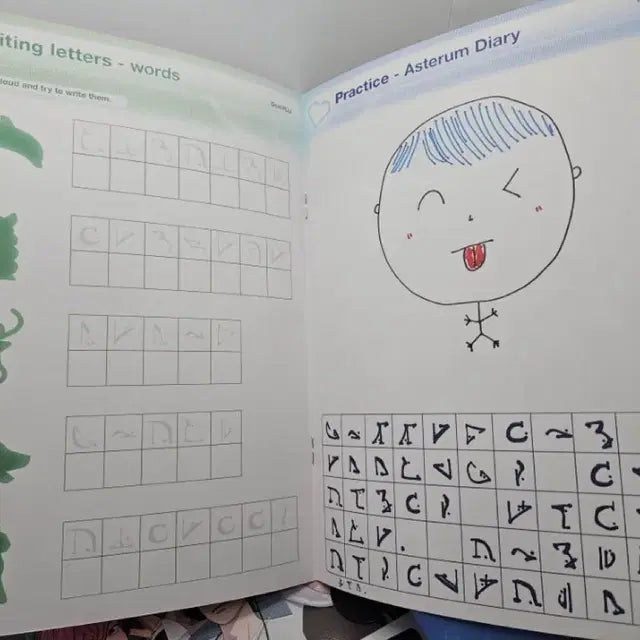 플레이브 멤버십 1기 플리 키트 아스테룸어 책자 그림 일기 양도
