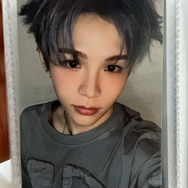 라이즈 쇼타로 포카 양도