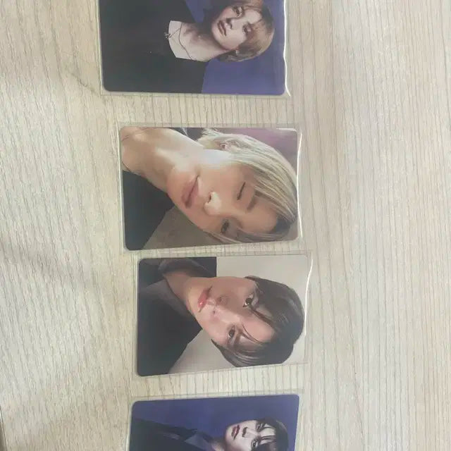 라이즈 시그 포카