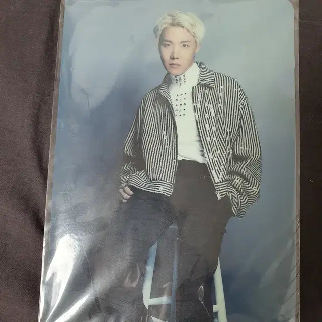 방탄 제이홉 디페스타 L홀더 파일