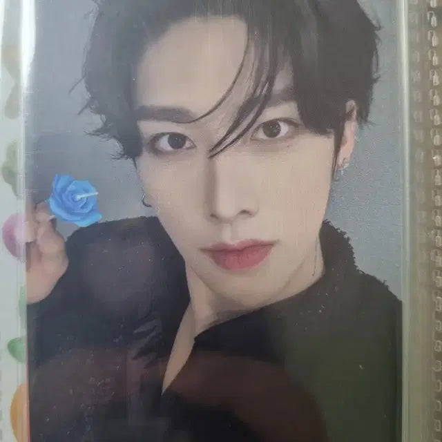 제로베이스원 리키 포카 양도