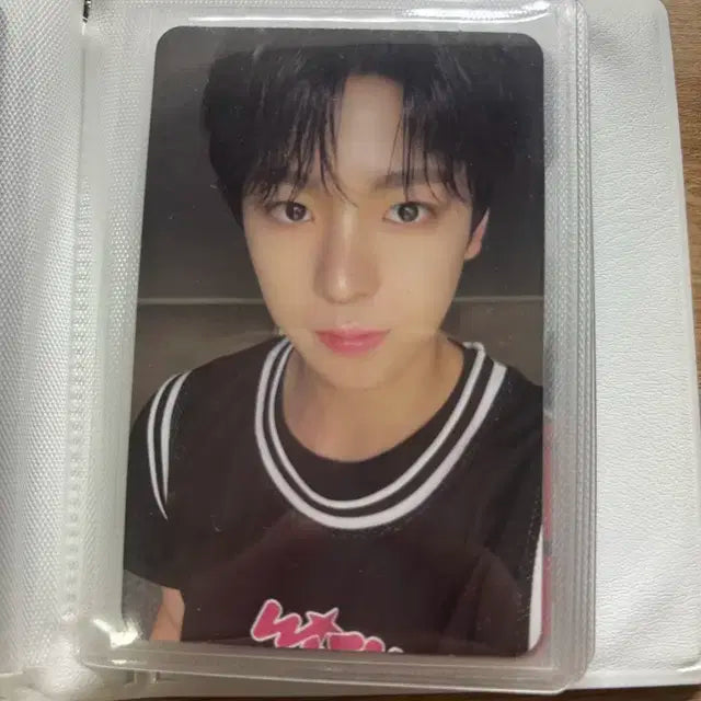 엔시티위시 스테디
