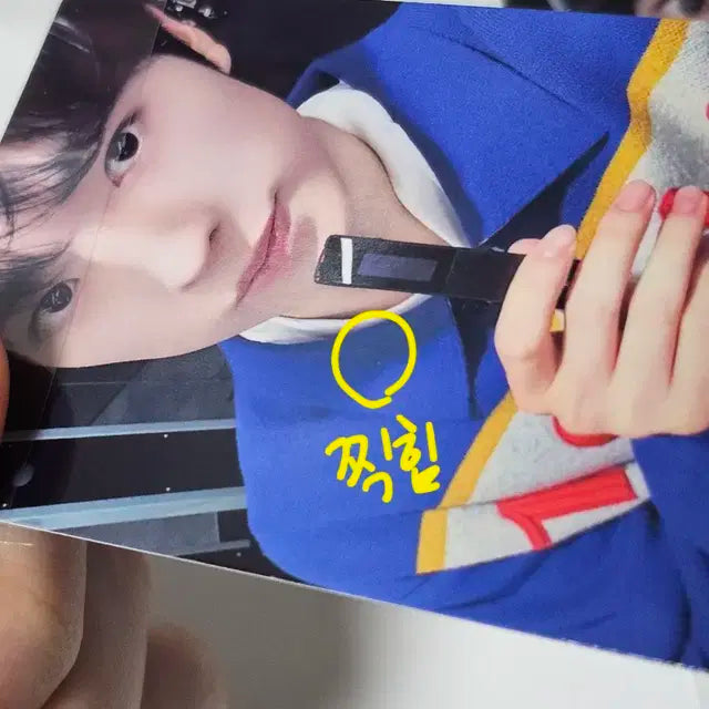 엔시티위시 포카 양도