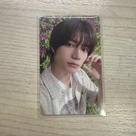 치카이 범규포카 타워레코드 럭드 번장최저가 투바투