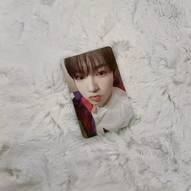 엔시티 위시 송버드 스미니 슴미니 사쿠야 포카