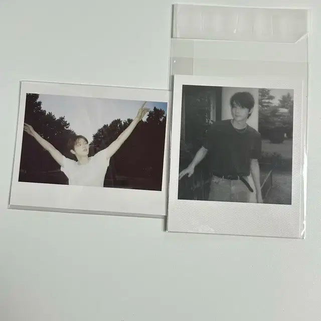 라이즈 에필로그 폴라로이드 성찬 일괄
