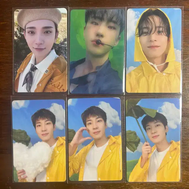 세븐틴 전멤 포카 양도))탈덕처분 덤 많이 드려요