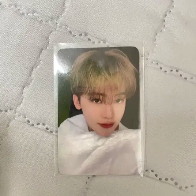 엔시티 드림 케타포 럭드 미공포 재민 이불포카 BTTF