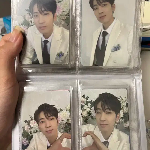 세븐틴 원우 포카 판매 아타카 페더썬 캐럿존 fml 캐럿반 원정대 특전