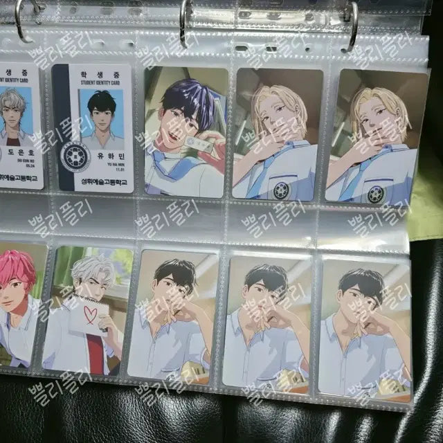 플레이브 공식 포카 모음집