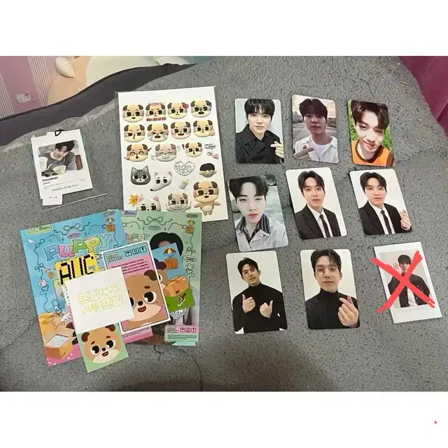데이식스 도운 포카 일괄