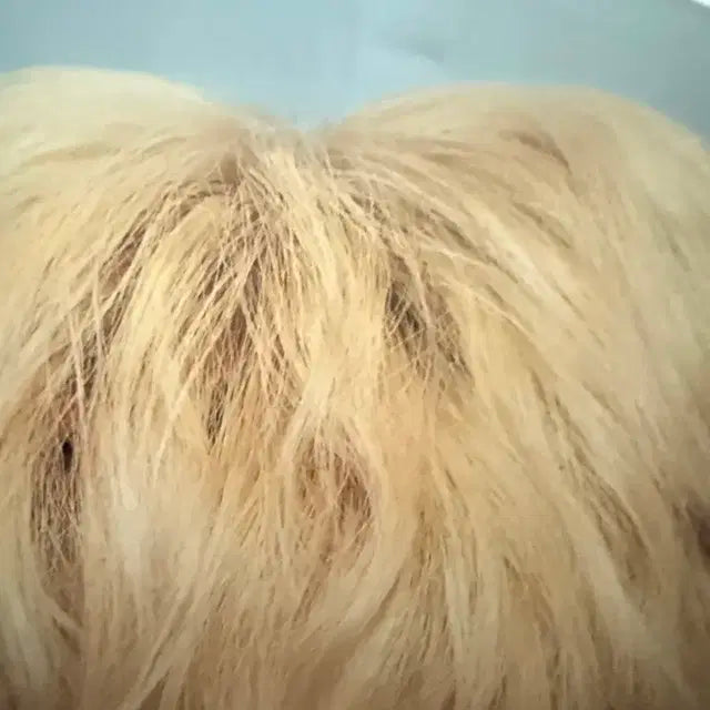 방탄 지민 윙즈 파이널 이미지 피켓