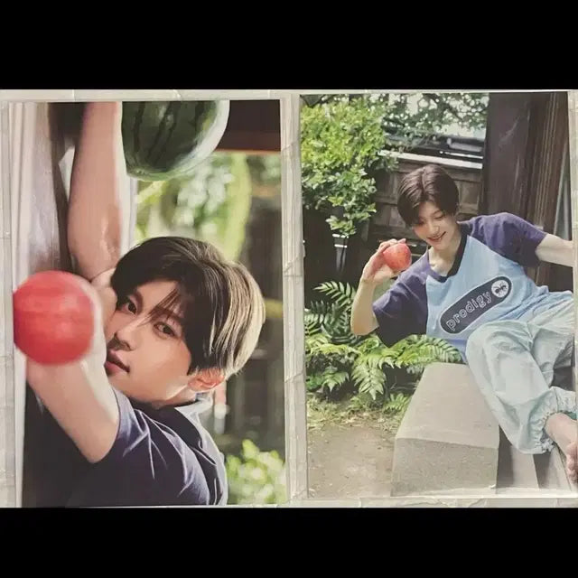 엔시티 위시 전시회 시온 엽서 b,c버전 일괄 미개봉 새상품