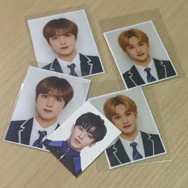 지성 제노 마크 포카