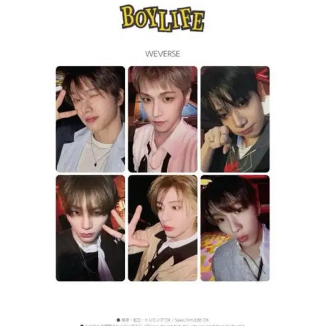보넥도 앨범 분철 boylife 성호리우명재현태산이한운학