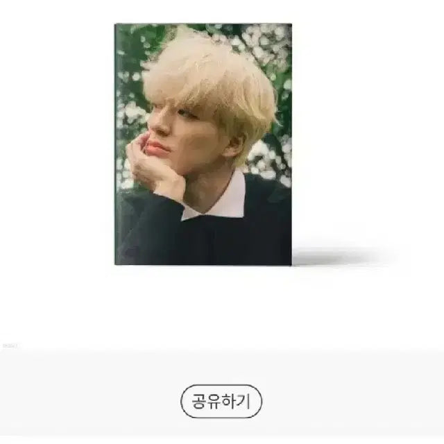 엔시티드림 제노 포토북 풀세트 양도 /마크해찬재민지성천러런쥔
