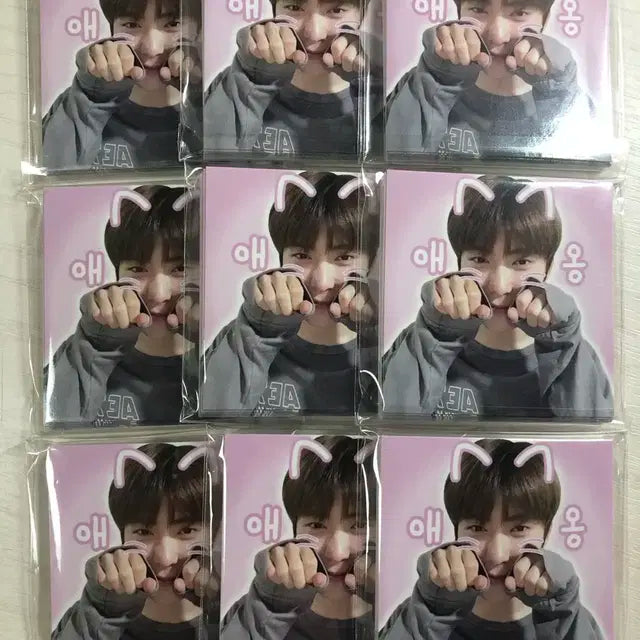 2+1 ) 엔시티 재현 판스, 비공굿 + 덤으로 공굿포카