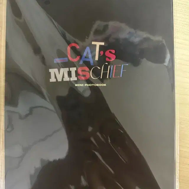 태산 생카 cat's mischief 선착 특전 포토북