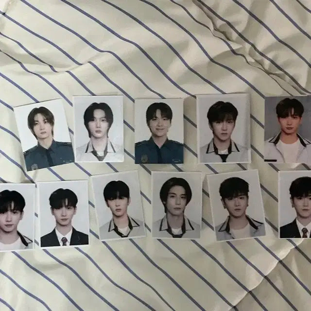 보넥도 증사