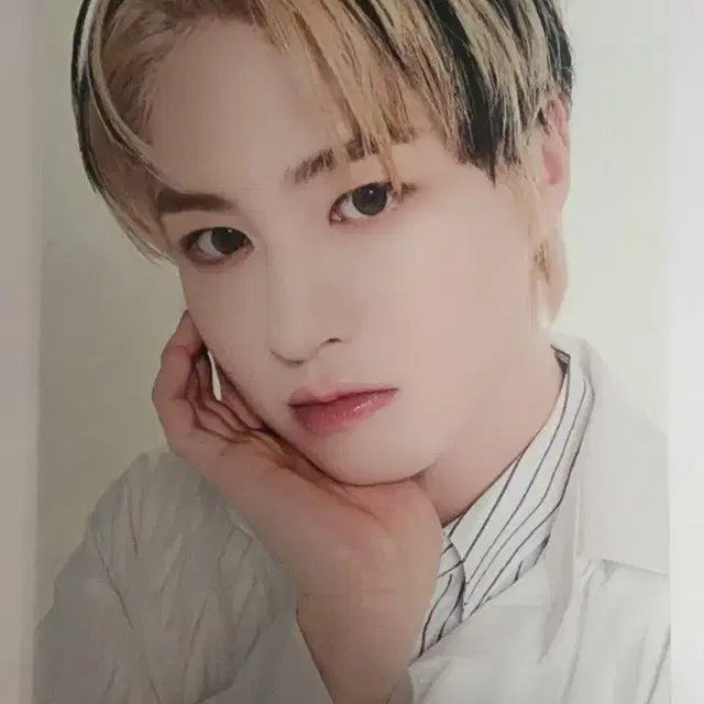 이펙스 에이든 포카