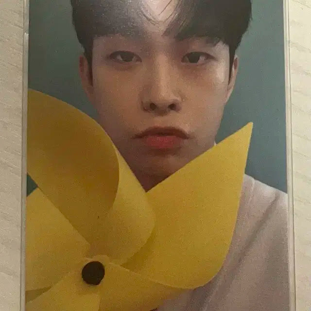 바람개비 상엽 루시 최상엽 포토카드 양도합니다