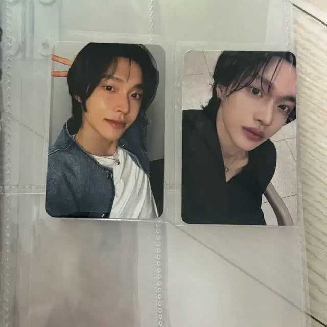 라이즈 포카 처분 목적 양도!! (원빈,성찬 위주 멤버 다 있긴있어요)
