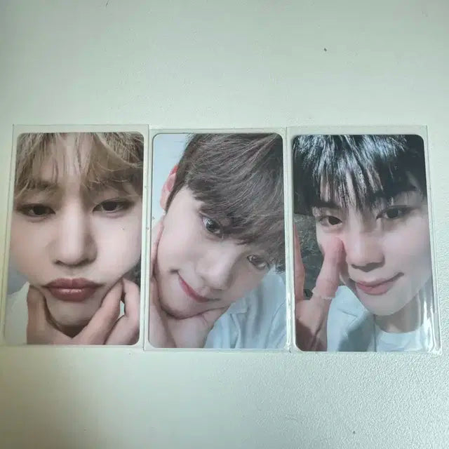 제베원 매튜 규빈 건욱 얼빡 포카 판매
