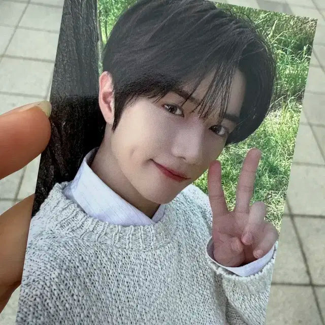 모아존 범규